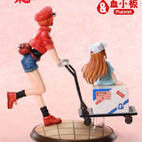 Red Blood Cell & Platelet