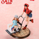 Red Blood Cell & Platelet