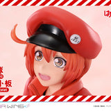 Red Blood Cell & Platelet