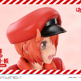 Red Blood Cell & Platelet