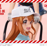 Red Blood Cell & Platelet