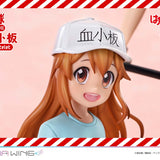 Red Blood Cell & Platelet