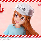 Red Blood Cell & Platelet