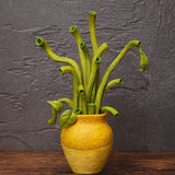 Figma Sunflowers by Van Gogh