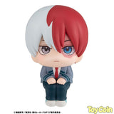LookUp Shoto Todoroki
