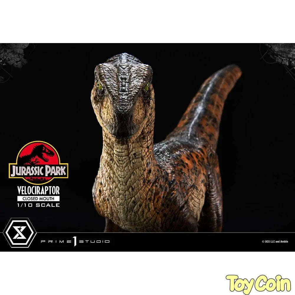 Velociraptor: Closed Mouth by Prime 1 Studio - Shop at ToyCoin