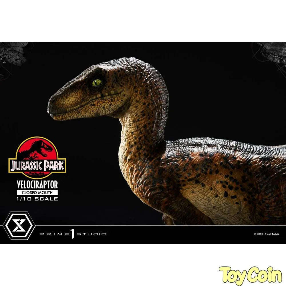 Velociraptor: Closed Mouth by Prime 1 Studio - Shop at ToyCoin