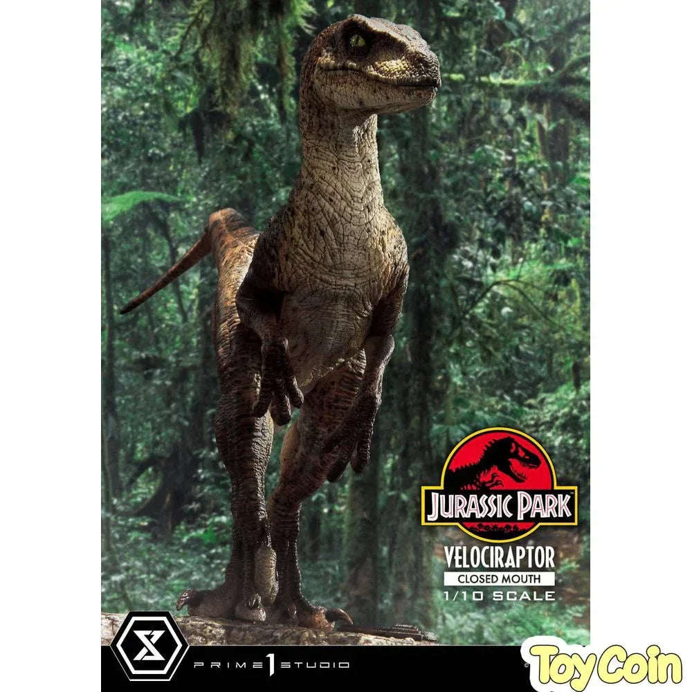 Velociraptor: Closed Mouth by Prime 1 Studio - Shop at ToyCoin