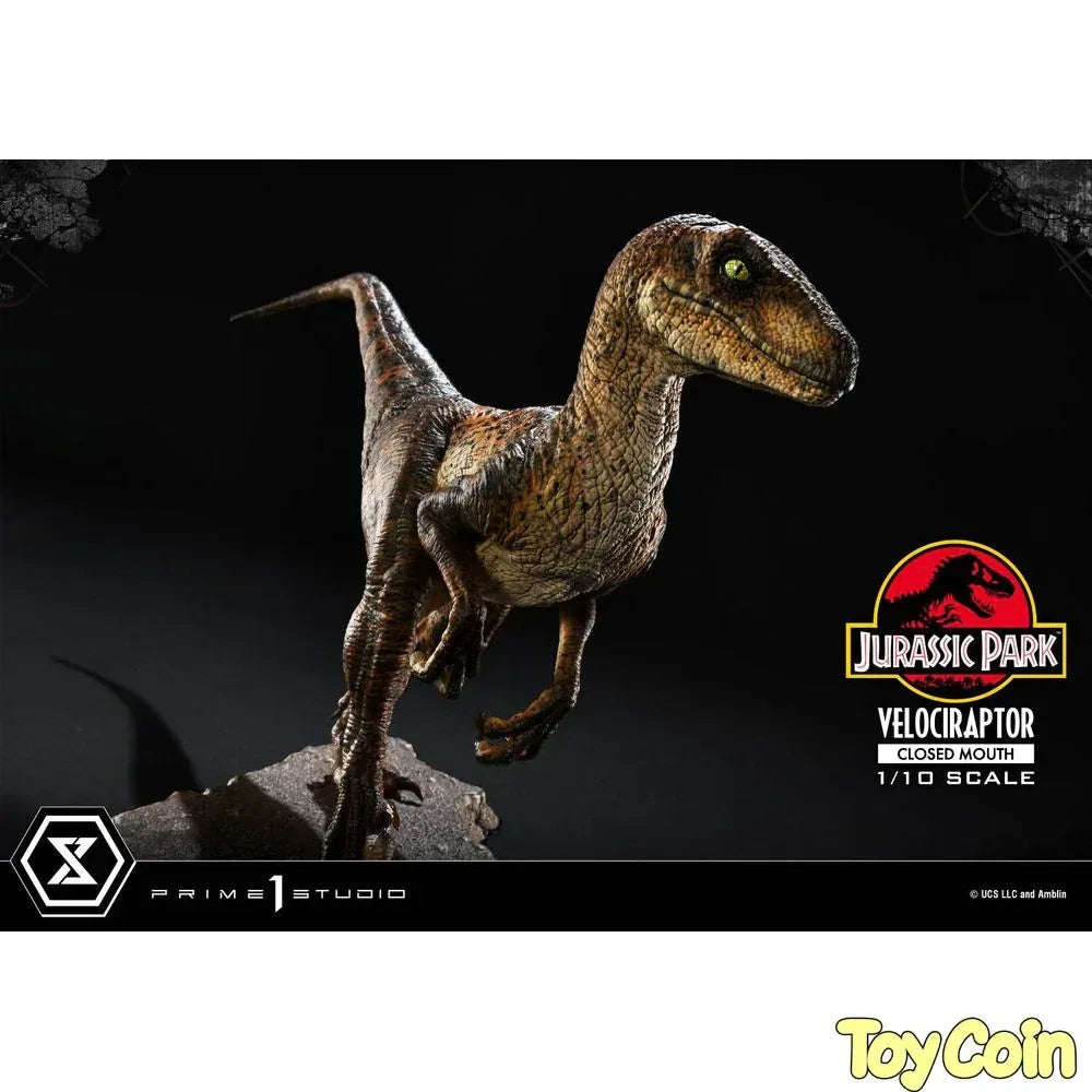 Velociraptor: Closed Mouth by Prime 1 Studio - Shop at ToyCoin