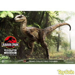 Velociraptor: Closed Mouth by Prime 1 Studio - Shop at ToyCoin