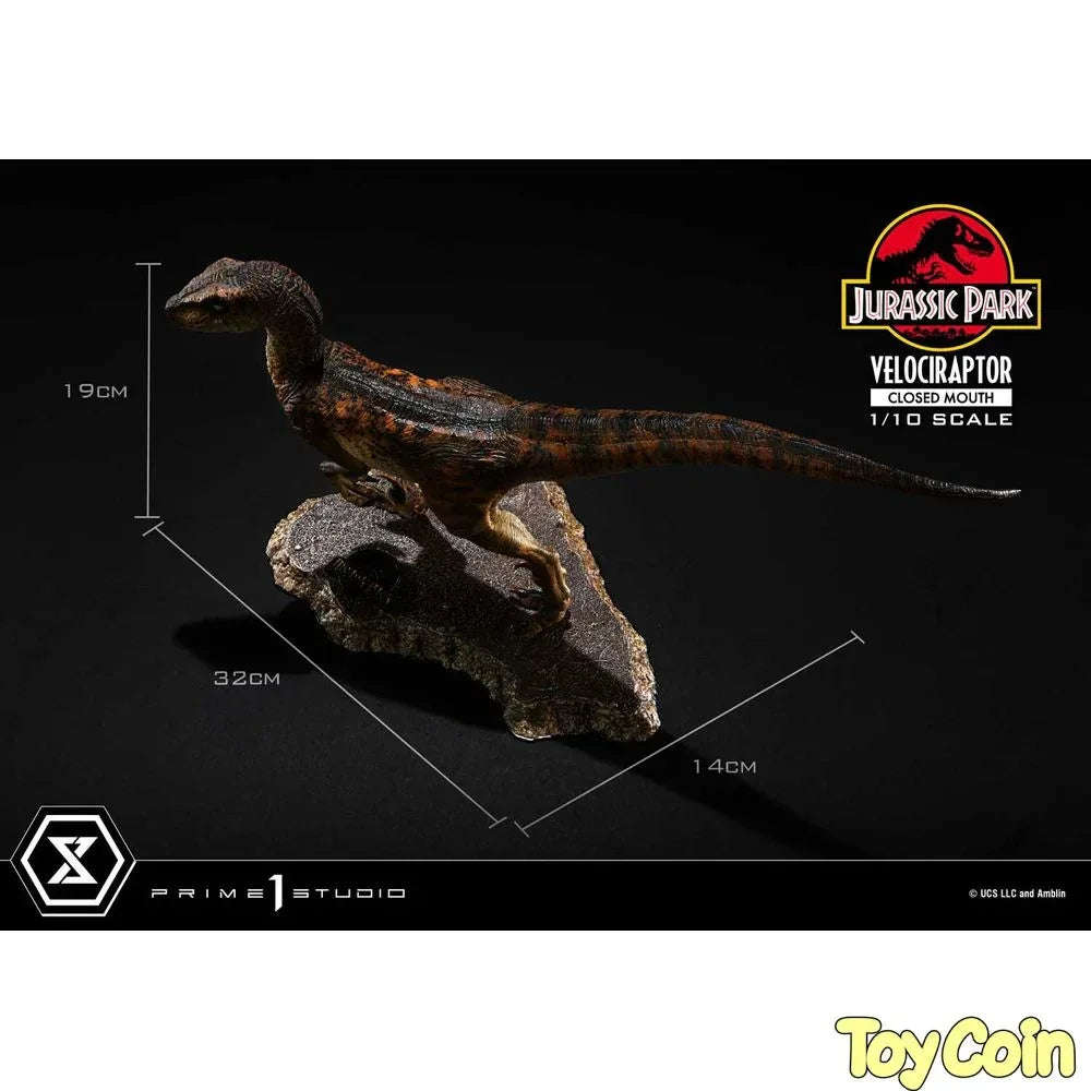 Velociraptor: Closed Mouth by Prime 1 Studio - Shop at ToyCoin