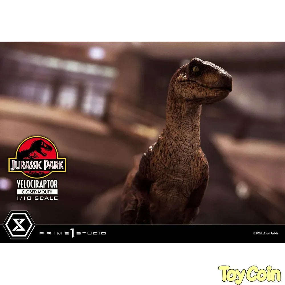 Velociraptor: Closed Mouth by Prime 1 Studio - Shop at ToyCoin