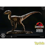 Velociraptor: Closed Mouth by Prime 1 Studio - Shop at ToyCoin