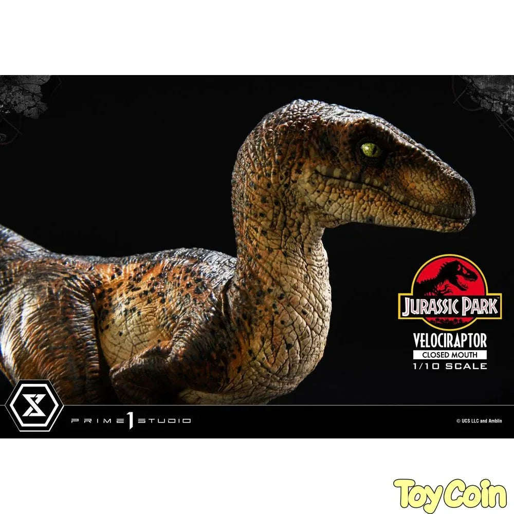 Velociraptor: Closed Mouth by Prime 1 Studio - Shop at ToyCoin