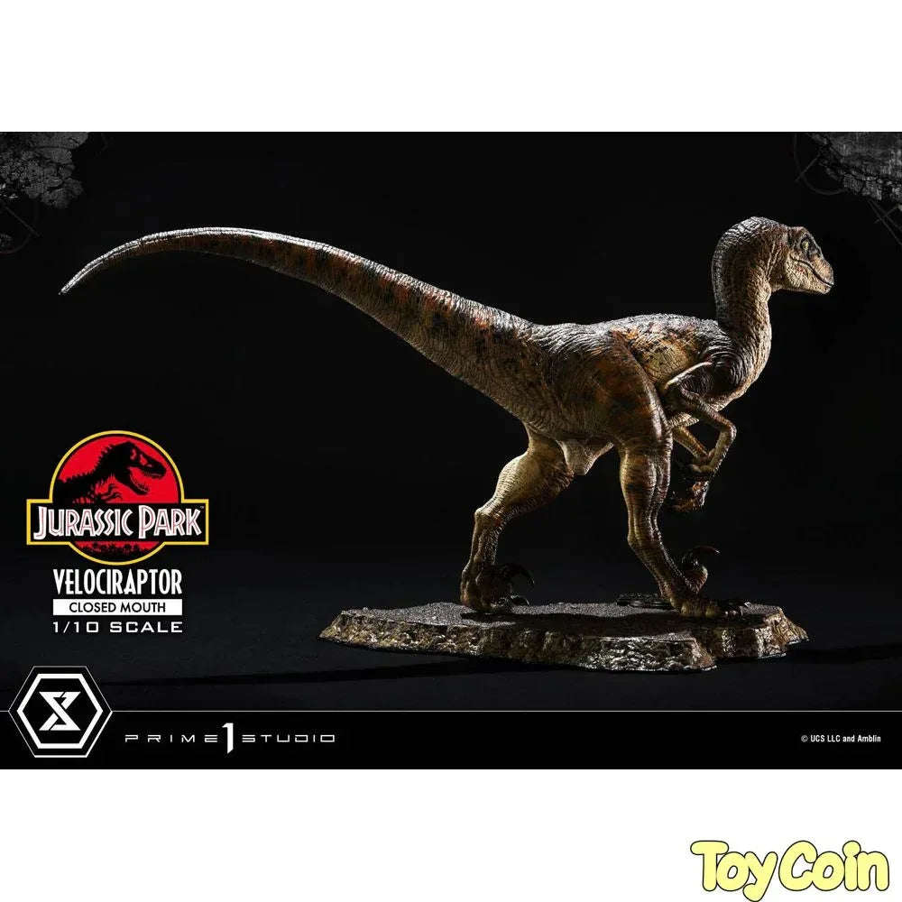 Velociraptor: Closed Mouth by Prime 1 Studio - Shop at ToyCoin