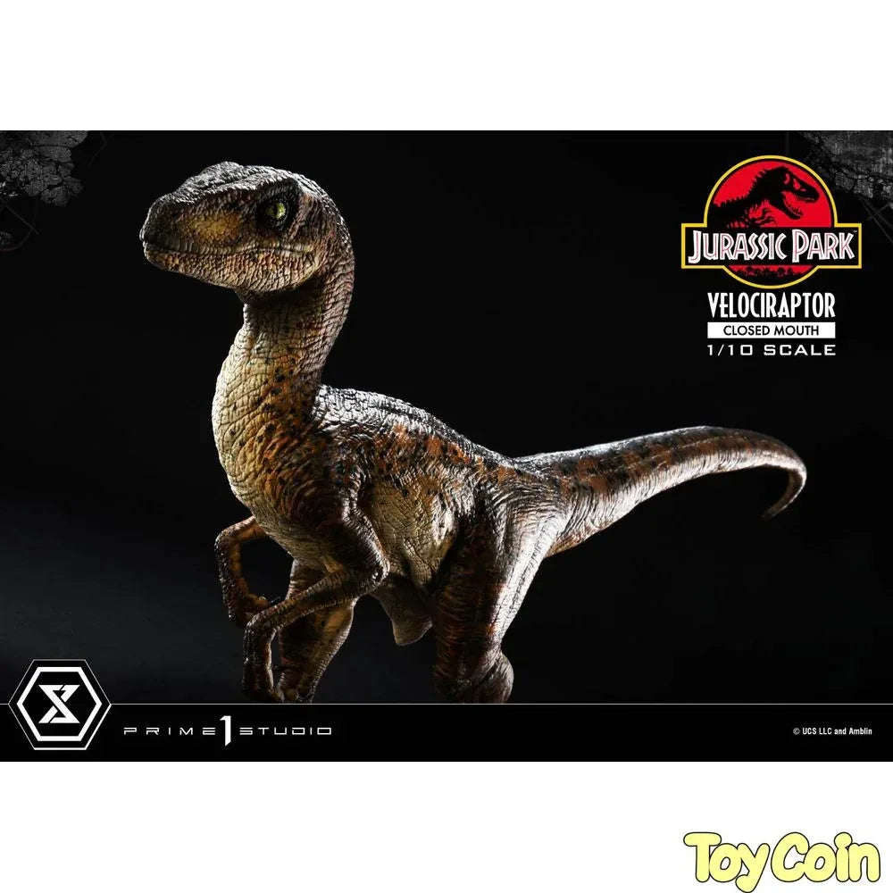 Velociraptor: Closed Mouth by Prime 1 Studio - Shop at ToyCoin