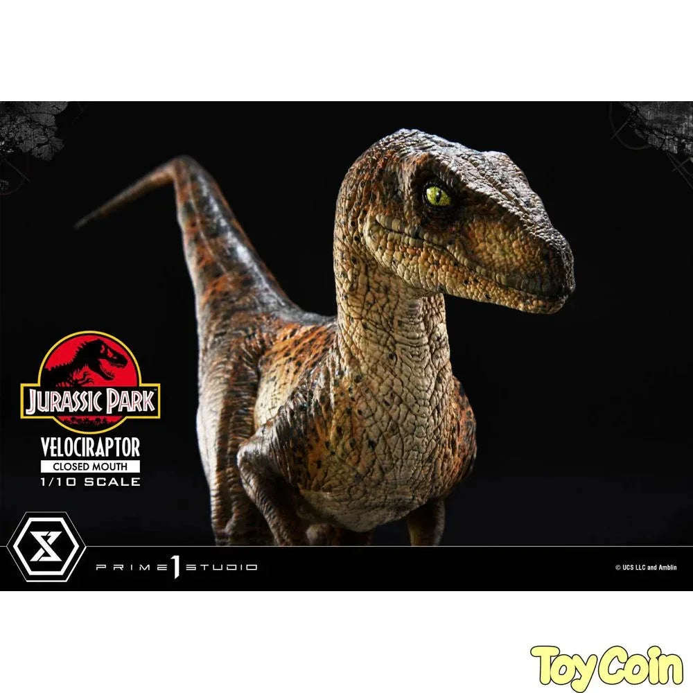 Velociraptor: Closed Mouth by Prime 1 Studio - Shop at ToyCoin