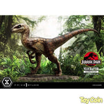 Velociraptor: Closed Mouth by Prime 1 Studio - Shop at ToyCoin