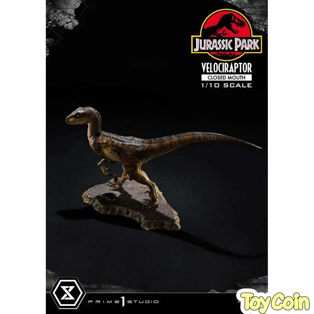 Velociraptor: Closed Mouth by Prime 1 Studio - Shop at ToyCoin