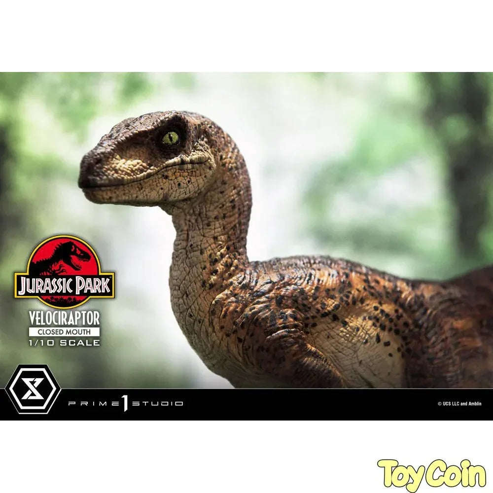 Velociraptor: Closed Mouth by Prime 1 Studio - Shop at ToyCoin
