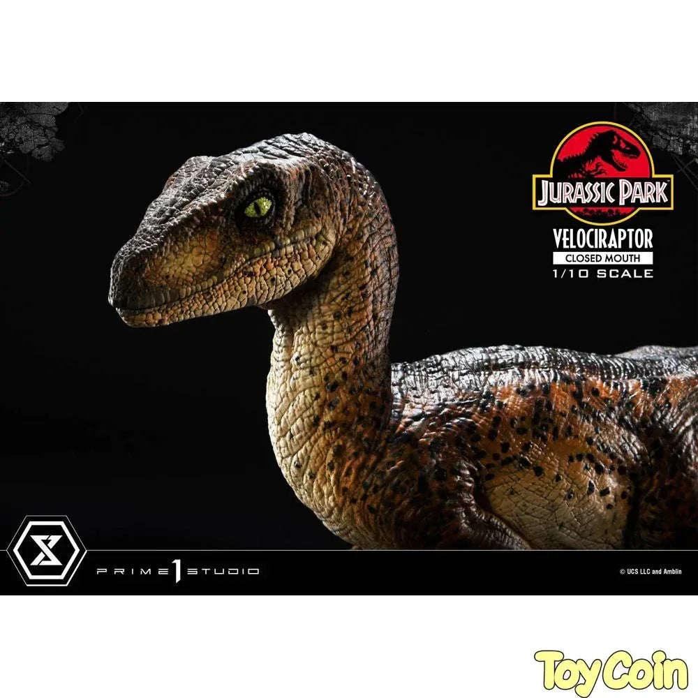 Velociraptor: Closed Mouth by Prime 1 Studio - Shop at ToyCoin