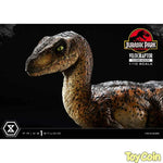 Velociraptor: Closed Mouth by Prime 1 Studio - Shop at ToyCoin