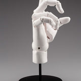 [ARTIST SUPPORT ITEM] Takahiro Kagami HAND MODEL/R -WHITE-