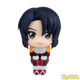 LookUp Athrun Zala