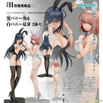 Black Bunny Aoi & White Bunny Natsume 2 Figure Set by ENSOUTOYS - Shop at ToyCoin